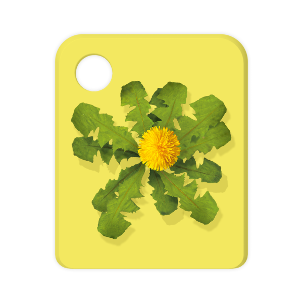 Galakto Löwenzahn Classics - Der Schatz der alten Römer & Peter kauft ne Eisenbahn