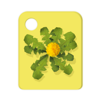 Galakto Löwenzahn Classics - Der Schatz der alten Römer & Peter kauft ne Eisenbahn