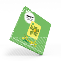 Galakto Löwenzahn Classics - Der Schatz der alten Römer & Peter kauft ne Eisenbahn