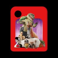 Galakto Die Schule der magischen Tiere 4 - Soundtrack zum Film