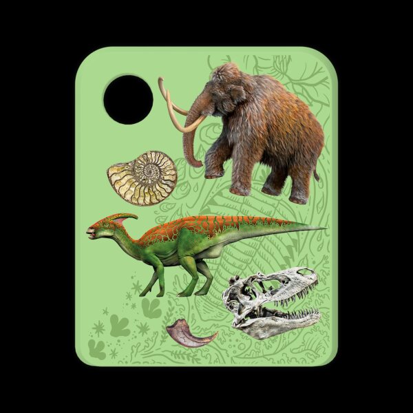 Galakto Wundervolle Welt der Dinosaurier und der Urzeit