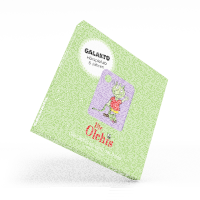 Galakto Die Olchis - Die Olchis im Land der Dinos