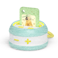 Galakto Frau Honig - Und plötzlich war Frau Honig da