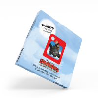 Galakto Dragons - Die Drachen-Akademie von Berk & Der arbeitslose Wikinger