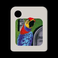 Galakto Die drei ??? - Der Super-Papagei