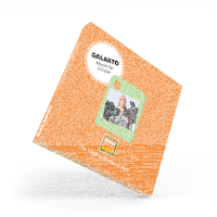 Galakto Anna und die wilden Tiere - Anna und die wilden Lieder